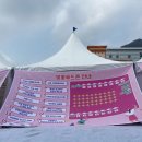 이마트24 고창파크시티점 | 고창벚꽃축제 고창 벚꽃 고창석정휴스파 고창석정지구