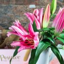 신용전자 이미지