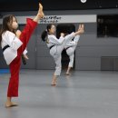 봉화태권도장 이미지