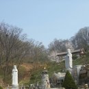 대화사 이미지