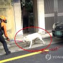 부산광역시 남부소방서(구조대)