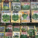 영광종묘농약사