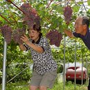 송태연 농장 이미지