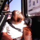 일로-23 | 금강산 화암사 템플스테이 뚜벅이 후기1 (11.22.-23.)