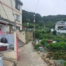 부산광역시 영도구 태종로 | 부산 영도 맛집 6년째 블루리본을 유지 중인 따뜻한 분위기의 이탈리아 레스토랑 '토로' 방문 후기