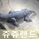 쥬쥬랜드 | 고양 쥬쥬랜드 동물원 솔직 후기