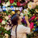 하슬라에코 | 강원도 정동진 가볼만한곳 하슬라아트월드 비오는날 가격 할인