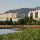 구포고가교 이미지