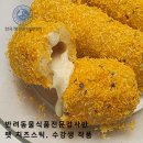 한국펫전문아카데미
