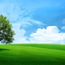 푸른초원 이미지