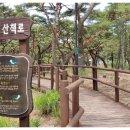 서포리웰빙산책로 (덕적도) Daum카페