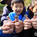 방장산자연휴양림 유아숲체험원 이미지