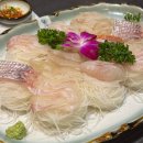 동경스시 | [역삼] 동경스시, 역삼역 근처 회식장소 추천 직장인 점심 맛집 점심정식 후기