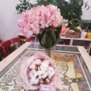 커피꽃향기 이미지