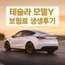 테슬라 모델Y 보험료 생생후기(KB다이렉트, T맵할인)