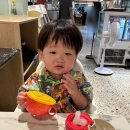 봉화로L | 원주 ak플라자 식당 맛집 갈촌126 17개월 아기랑 어린이정식 무료 이용 후기