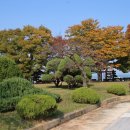 삽교호 관광지 이미지