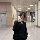 애플힙걸 | 내돈내산 케이스티파이｜케이스·그립톡·스트랩·맥세이프 충전기 등등 후기!