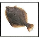 가재미로 이미지