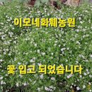 이모네농원