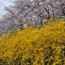 연암도서관 이미지