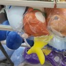 다이소 수성시장네거리점 이미지