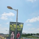 서울묵현초등학교 | [아이와 가볼만한 곳] 서울 중랑 장미축제 다녀온 후기 +주차장 정보 포함