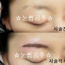 공주눈썹 Daum카페