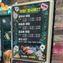 올리브영 송도점 | 실내 동물원 테이블에이 인천점 방문 후기 | 송도데이트추천