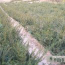 두학2목장 이미지