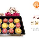 썬플러스