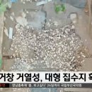 거창수지 이미지