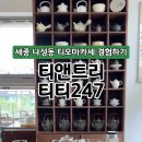 티티247