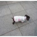 엄마손 동물병원 이미지