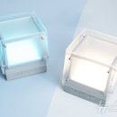 빛의 숲 뉴스1