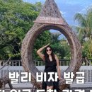 핀콕트립 네이버블로그