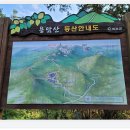 남도오백리역사숲길 | 용암산(화순)