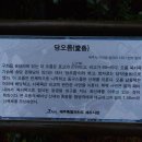 제주 오름 산책 이미지