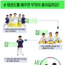 경희대 멘토 태권도장 이미지