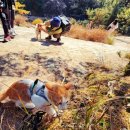 송윤건축사사무소 | 실시간~ 아차산 등산 코스 용마산 서울 둘레길2코스 가을단풍명소