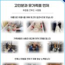 유림장례 이미지