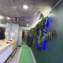 안양예술공원내 공영주차장 | 🔆수도권 워터파크 안양 워터랜드 방문후기🔆