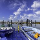 삼락생태공원 이미지