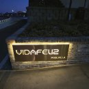 비다펠리스 이미지