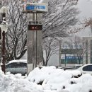 태백시청 이미지