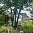 木漏れ日