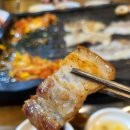 불구이돈 이미지