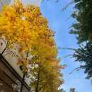 일일과일카페 - 23037 | 일일과일카페