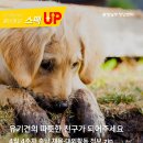 (주)인쇄창