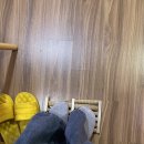 엘리스헤어 | [대구 지산동] 내돈내산 엘리스 효소찜질 다녀온 후기